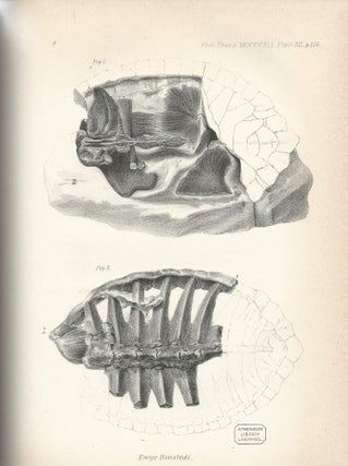 STUDY OF DINOSAURS BEGINS: "Memoir On a Portion of the Lower Jaw of the Iguanodon, and on the Remains of the Hylæosaurus and other Saurians, Discovered in the Strata of Tilgate Forest, in Sussex" and "On the Fossil Remains of Turtles, discovered in the Chalk Formation of the South-east England." (Philosophical Transactions of the Royal Society of London, Vol. 131 for the Year 1841 Part I & Part II, pp. 131-151, 153-158)