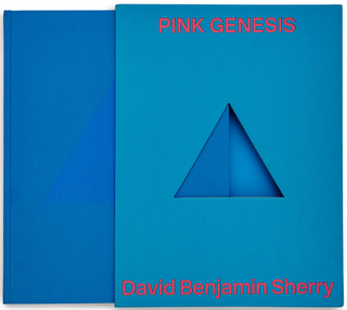Item #29196 Pink Genesis. David Benjamin Sherry, Lucy Gallun, Essay