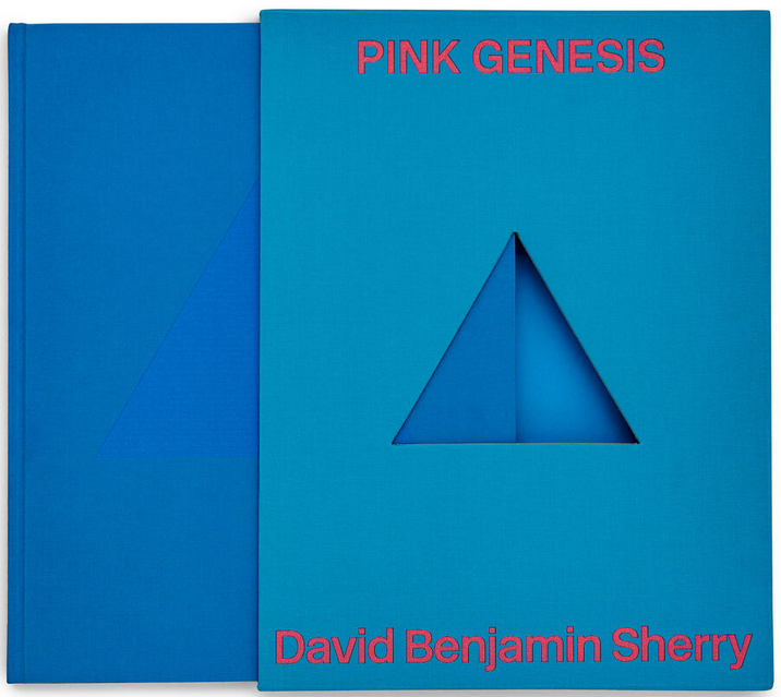 Item #29196 Pink Genesis. David Benjamin Sherry, Lucy Gallun, Essay.