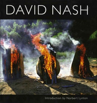 Item #30368 David Nash. David Nash, Norbert Lynton, Artist, Introduction